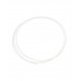BSI Teflon PTFE Tubing for Cyano Application (2 ft)